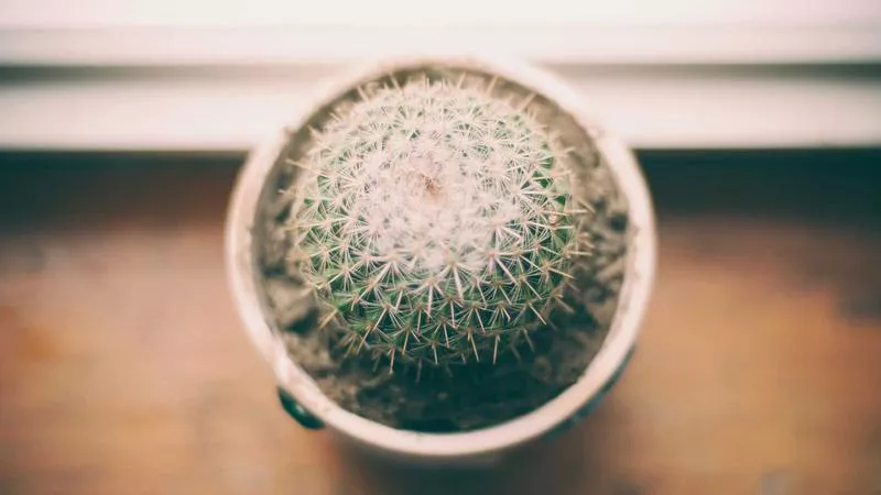 Làm thế nào để biết thông tin tài khoản đã bị rò rỉ